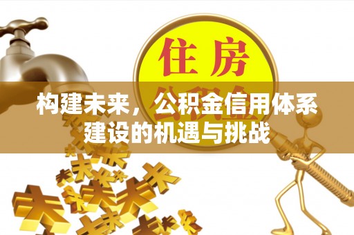 鸡泽构建未来，公积金信用体系建设的机遇与挑战