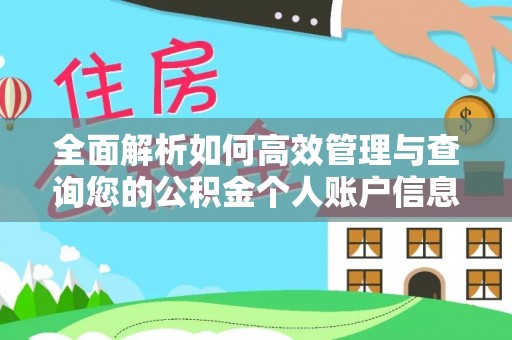 鸡泽全面解析如何高效管理与查询您的公积金个人账户信息