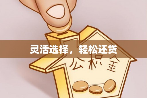 鸡泽灵活选择，轻松还贷