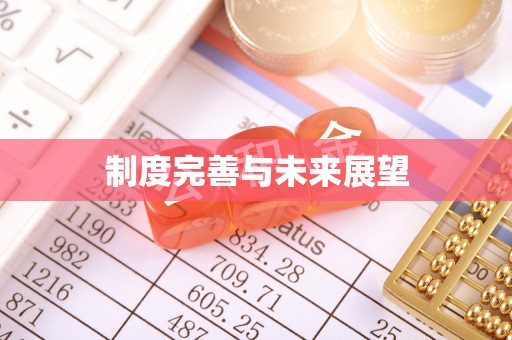 鸡泽制度完善与未来展望
