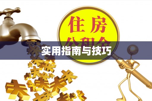 鸡泽实用指南与技巧