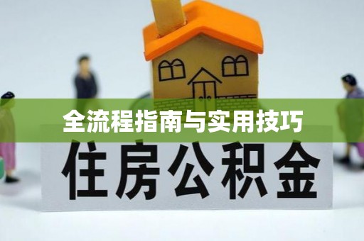 鸡泽全流程指南与实用技巧