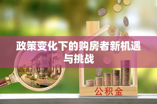 鸡泽政策变化下的购房者新机遇与挑战