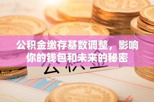 鸡泽公积金缴存基数调整，影响你的钱包和未来的秘密