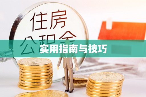 鸡泽实用指南与技巧
