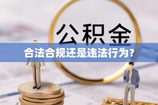 鸡泽合法合规还是违法行为？