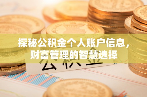 鸡泽探秘公积金个人账户信息，财富管理的智慧选择