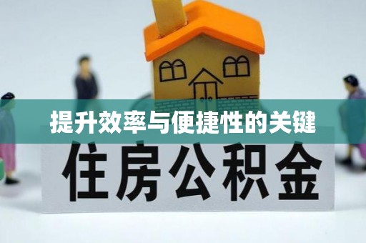 鸡泽提升效率与便捷性的关键