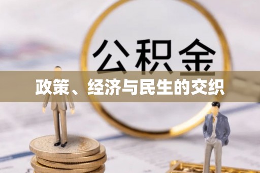鸡泽政策、经济与民生的交织