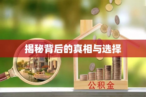 鸡泽揭秘背后的真相与选择