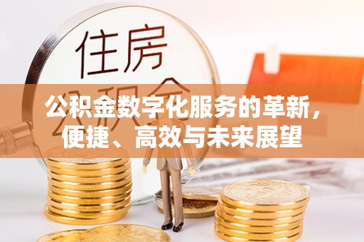 鸡泽公积金数字化服务的革新，便捷、高效与未来展望