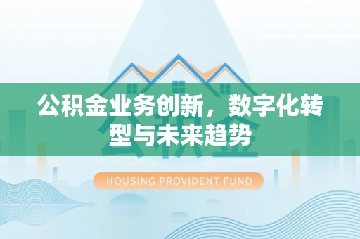 鸡泽公积金业务创新，数字化转型与未来趋势