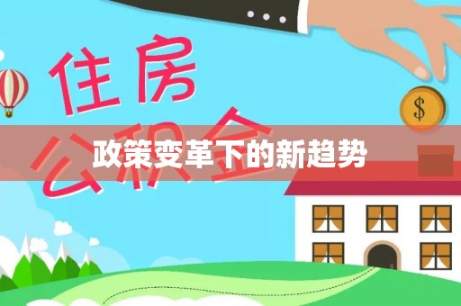 鸡泽政策变革下的新趋势