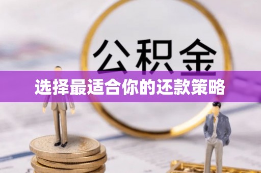 鸡泽选择最适合你的还款策略
